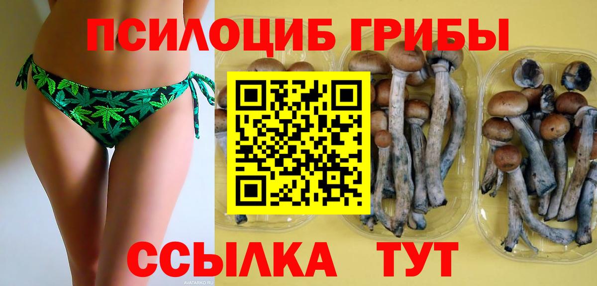 Псилоцибиновые грибы прущие грибы  Симферополь 