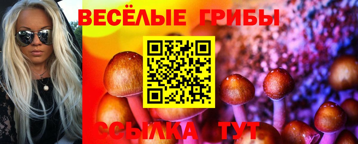 Галлюциногенные грибы Cubensis Симферополь