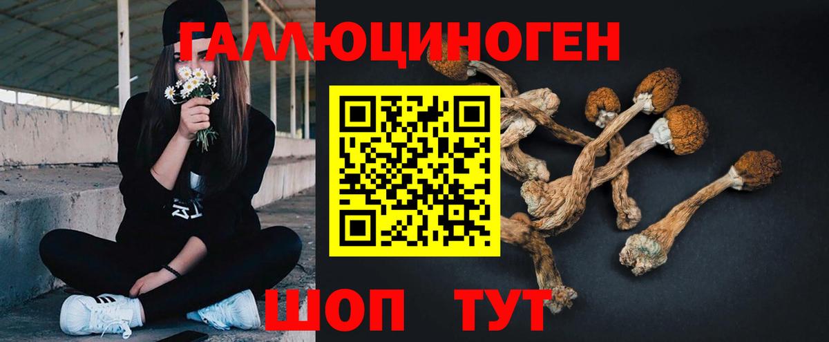Галлюциногенные грибы Psilocybine cubensis  Вход с VPN  магазин продажи наркотиков  Симферополь 